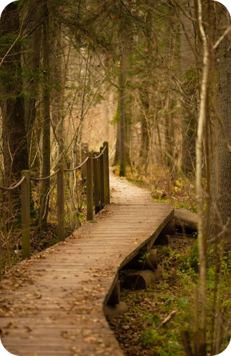 Białowieża – Dzika Natura